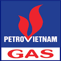 PVGAS(1)